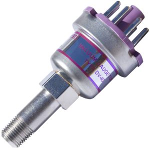Hastings DV-4D vacuum sensor